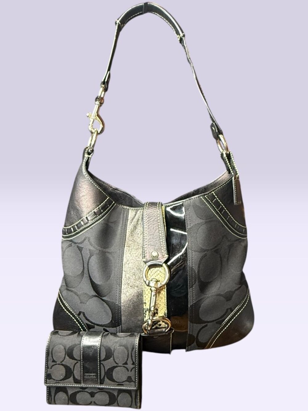 Coach Vintage Hampton Hobo Python Stripe w Signature C wallet